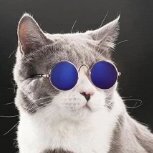 Feralcatman