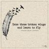 BrokenWings