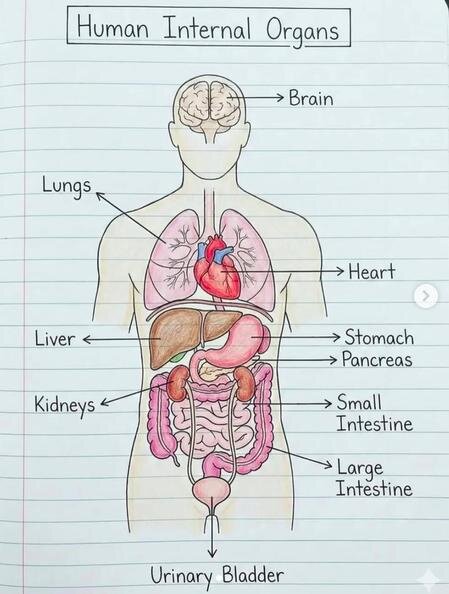 Jazzjunkie84: My journey with misdiagnosis, covid, duloxetine